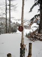  6. Februar 2010 - Es hat vorige Nacht stark geschneit